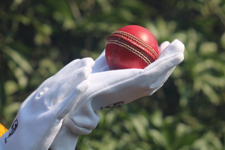 cricket